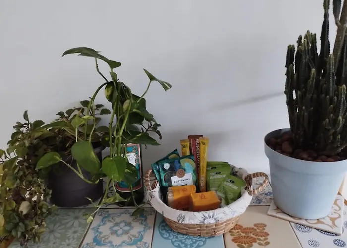Casa Do Pergolado - Temporada
