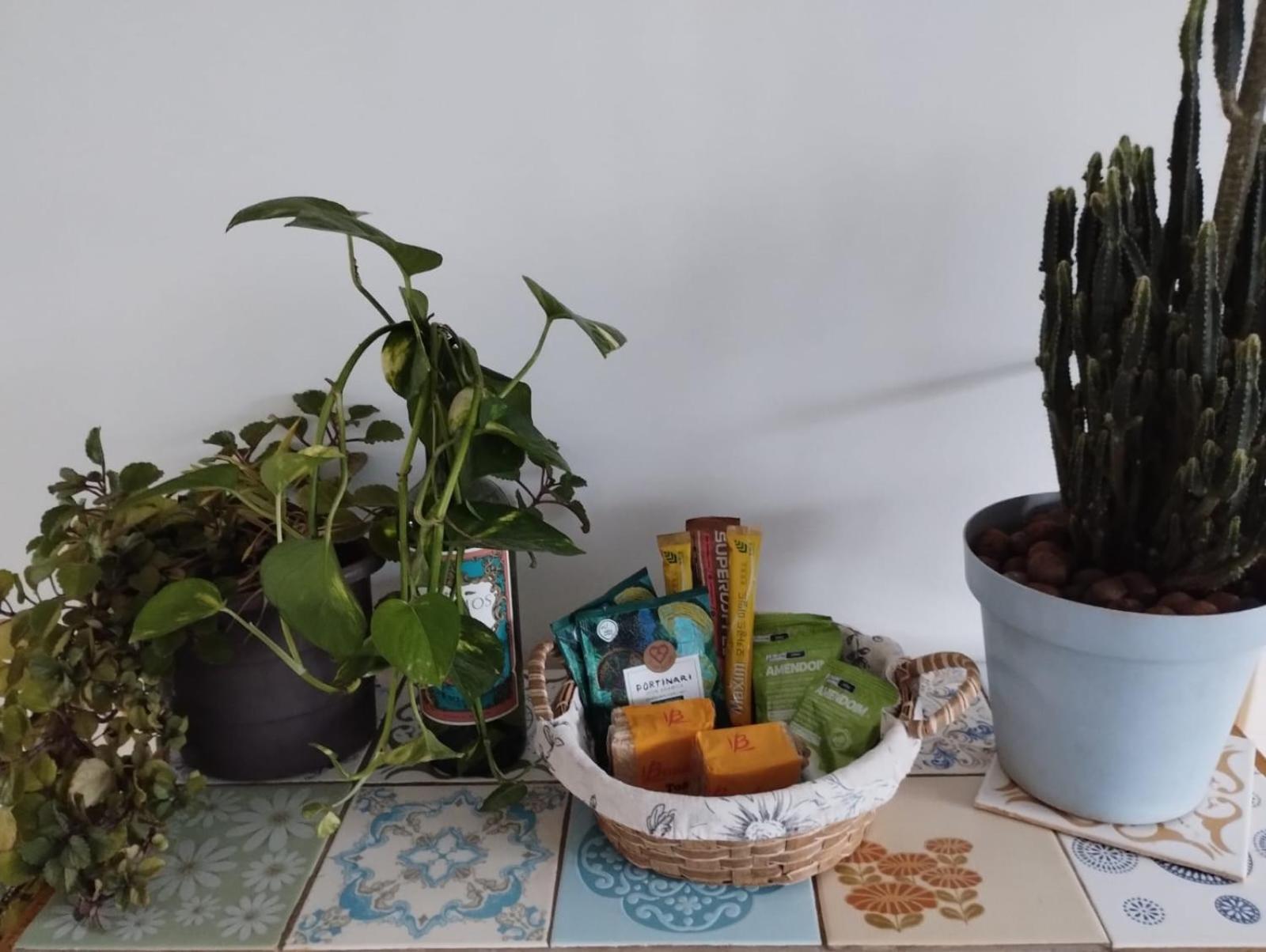 Casa Do Pergolado - Temporada *